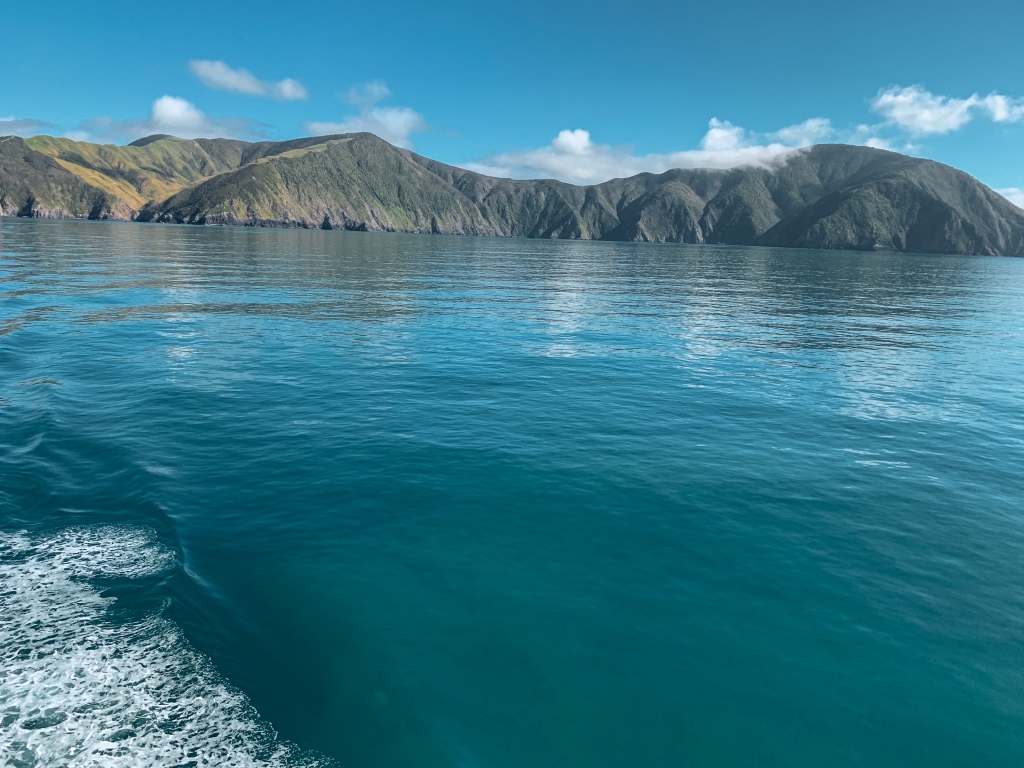 boat/ferry trip from marlborough to Wellington with epic views. 