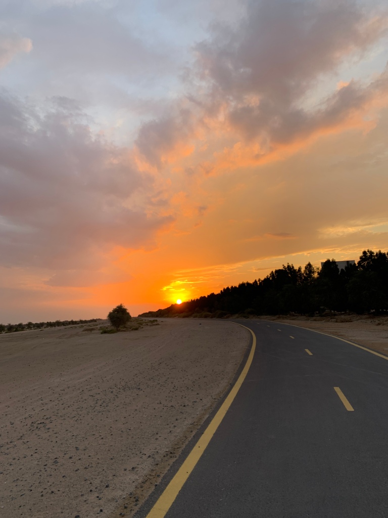 Al Qudra bicycle track by sunset, Abu Dhabi

